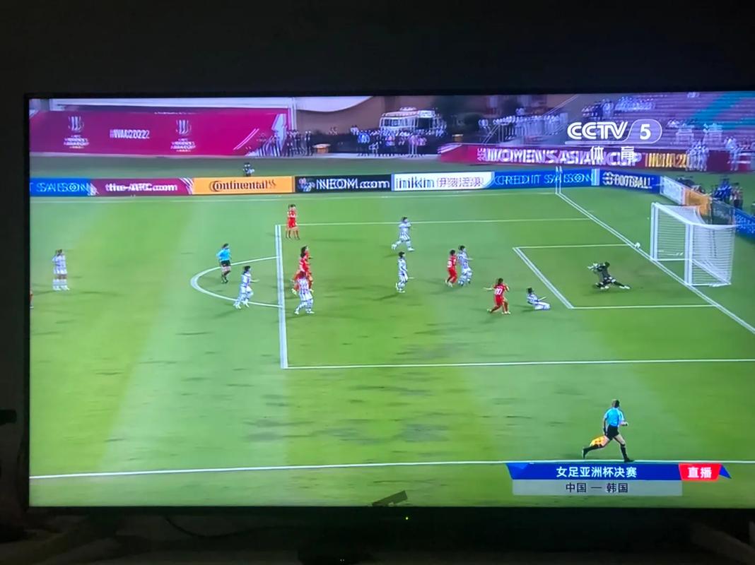 亚洲杯足球直播在线观看