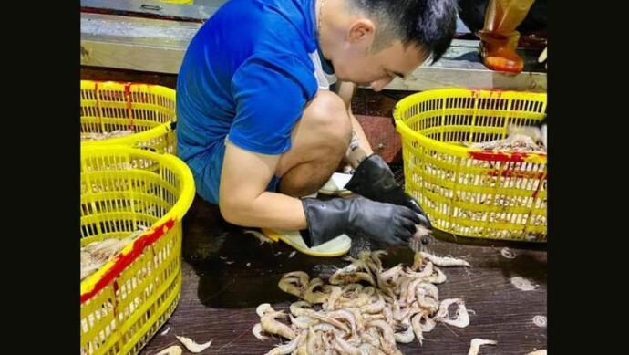越南足球队队长卖虾